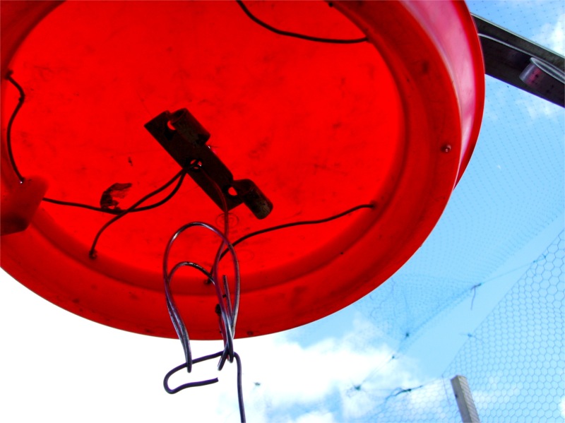 Allotment Heaven How to make a rat proof chicken feeder